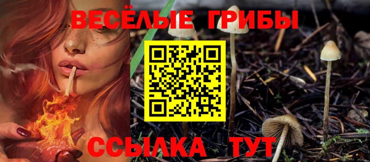 Галлюциногенные грибы Psilocybine cubensis  Галлюциногенные грибы мухоморы  Сатка  Вход с VPN 